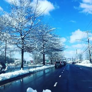 Meet your Posher, Alba